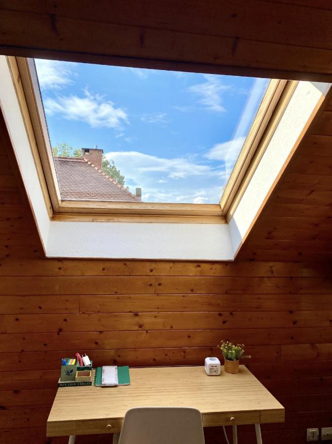Appartement L’alsacien Cosy : Duplex - Netflix - Wifi/fibre
