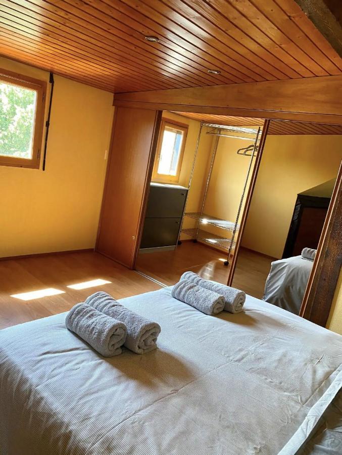 Appartement L’alsacien Cosy : Duplex - Netflix - Wifi/fibre *