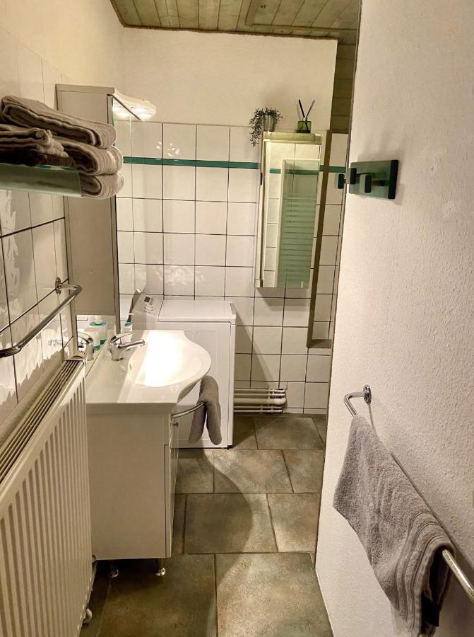 L’alsacien Cosy : Duplex - Netflix - Wifi/fibre * Mulhouse